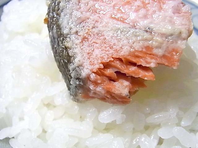 激辛紅鮭Ｆ