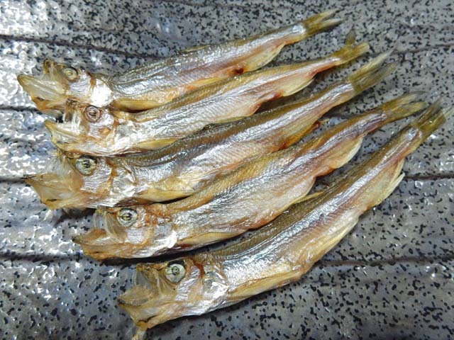 乾干ししゃも